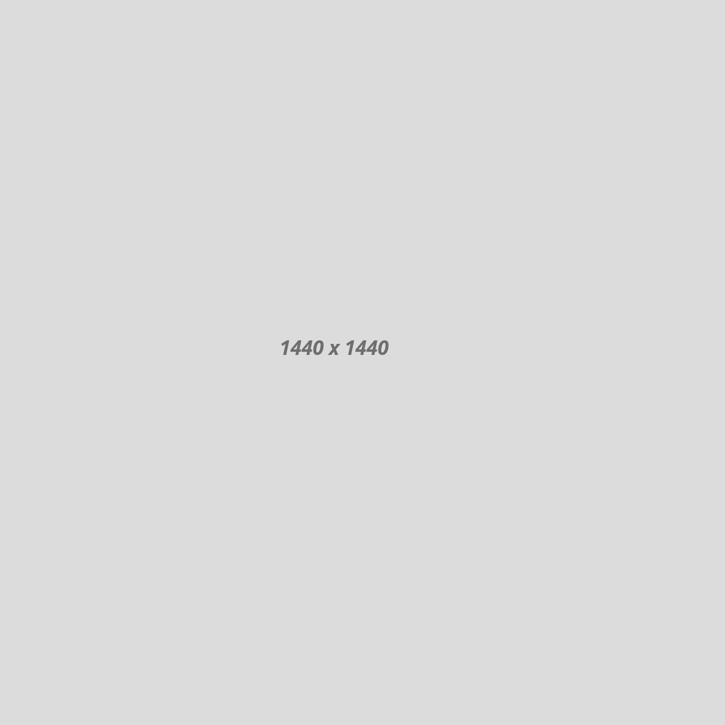 study01